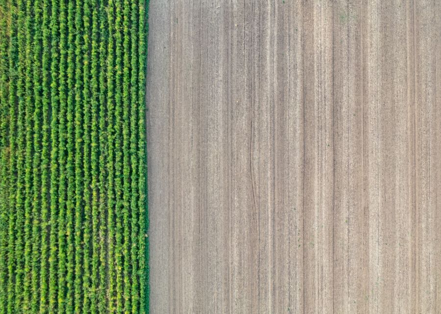 Agriculture